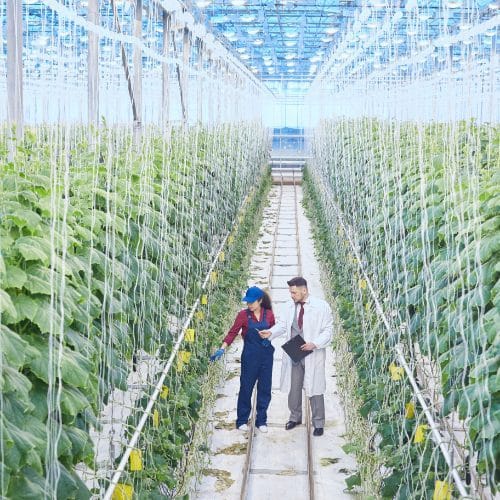 shutterstock_1050020600