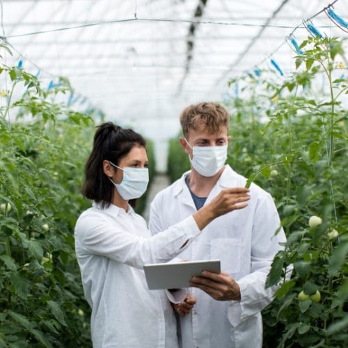 shutterstock_1776009653