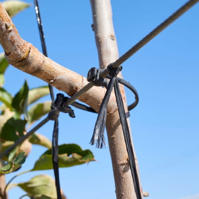 Multi-Purpose Connector 100mm