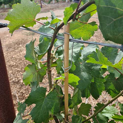 Bamboo steel Holder 6 mm-16mm