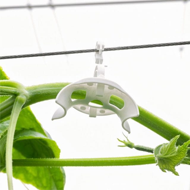 Radial Hook - Complete