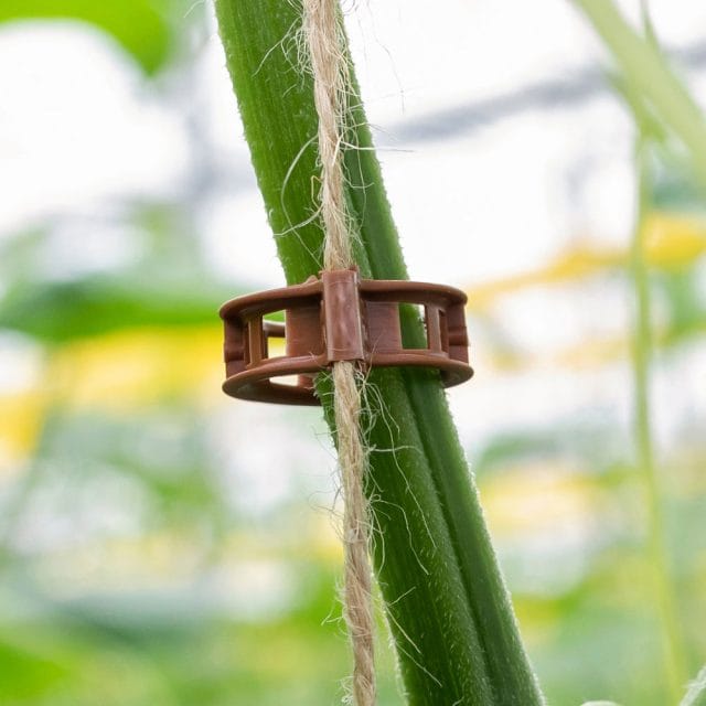 Optima Terracotta 23 mm