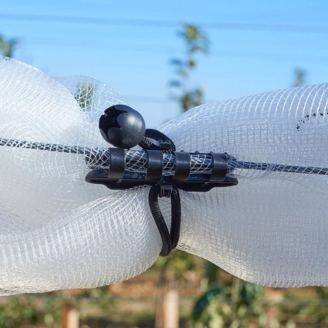 Elastic with Ball for Double Grip